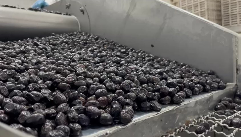  Laboratuvarlarda analiz edilip birliklere gönderiliyor