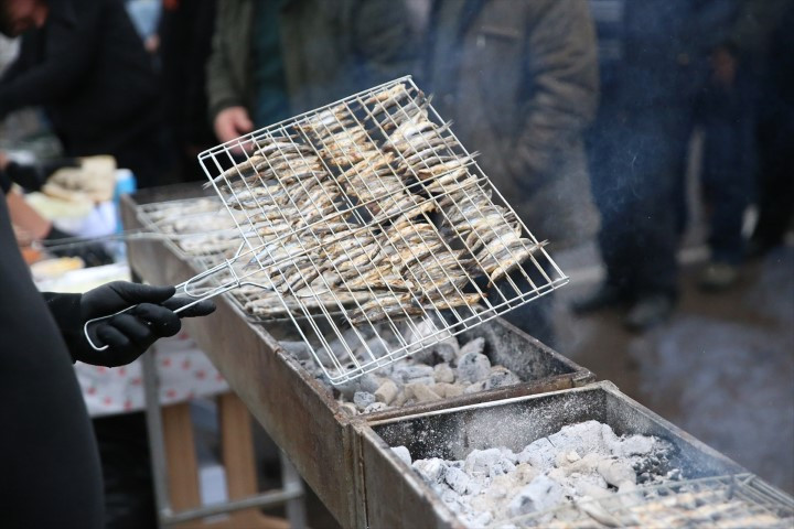  Festivalde tonlarcası ücretsiz dağıtıldı