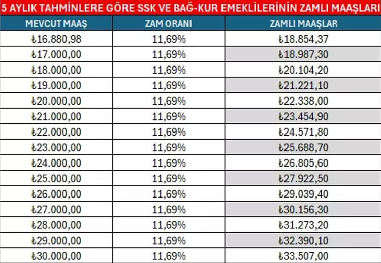 EMEKLİ MAAŞI ZAMMI TÜİK 5 AYLIK ENFLASYON FARKI