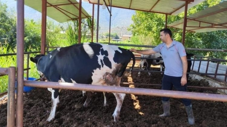 Muğla'nın Milas ilçesinde 11 mahalle karantinaya alındı