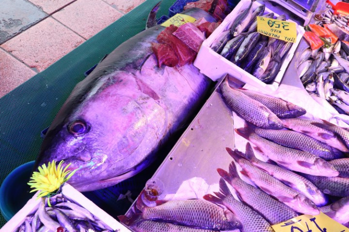 Türkiyede satışı yasak | Eskişehirdeki balıkçı tezgahında satışa çıktı, görenler şaşkına döndü