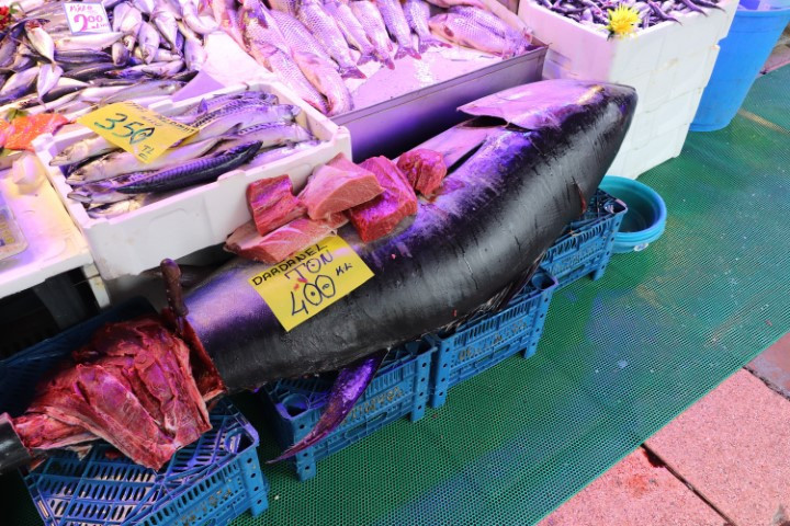 Türkiyede satışı yasak | Eskişehirdeki balıkçı tezgahında satışa çıktı, görenler şaşkına döndü