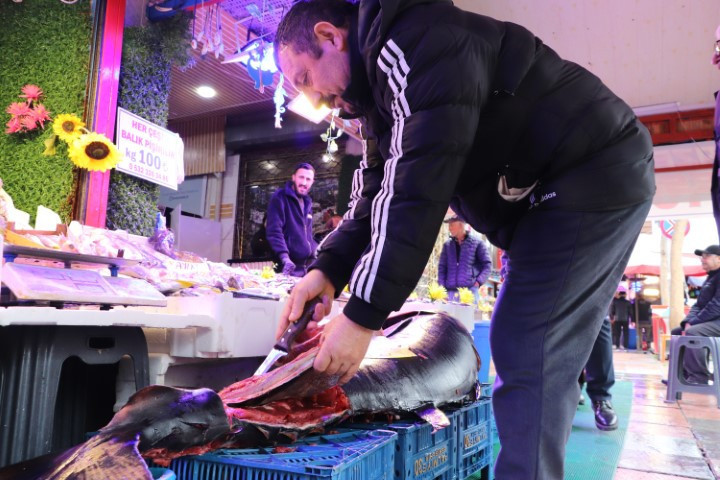 Türkiyede satışı yasak | Eskişehirdeki balıkçı tezgahında satışa çıktı, görenler şaşkına döndü