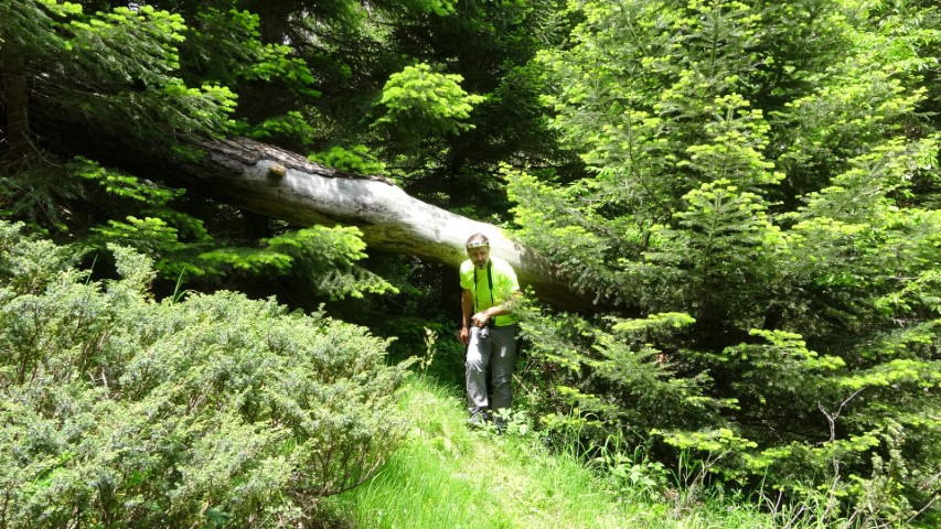Buraya girenler inanılmaz manzara ile karşılaşıyor... Kastamonuda bulunuyor ve dünyadaki ender yerlerden biri