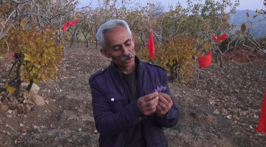  Batmanlı çiftçi fıstığa alternatif olarak denedi ve yetiştirmeyi başardı