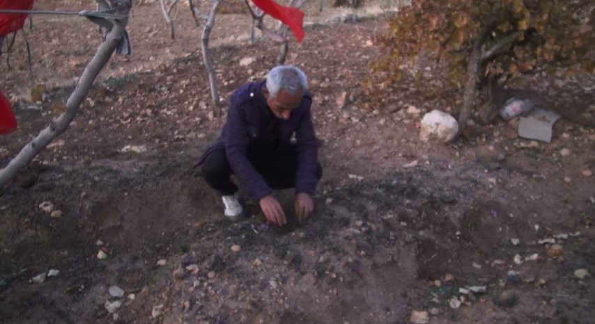  Batmanlı çiftçi fıstığa alternatif olarak denedi ve yetiştirmeyi başardı