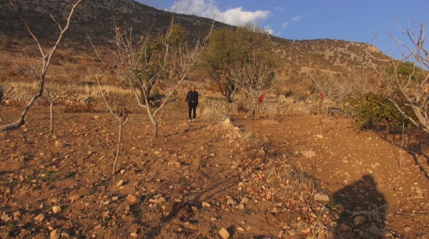  Batmanlı çiftçi fıstığa alternatif olarak denedi ve yetiştirmeyi başardı