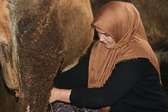 Eşini ikna etti beraber yaptılar: Azmiyle yöre halkına örnek oldu Bir ilki başardılar