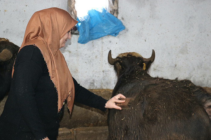 Eşini ikna etti beraber yaptılar: Azmiyle yöre halkına örnek oldu Bir ilki başardılar