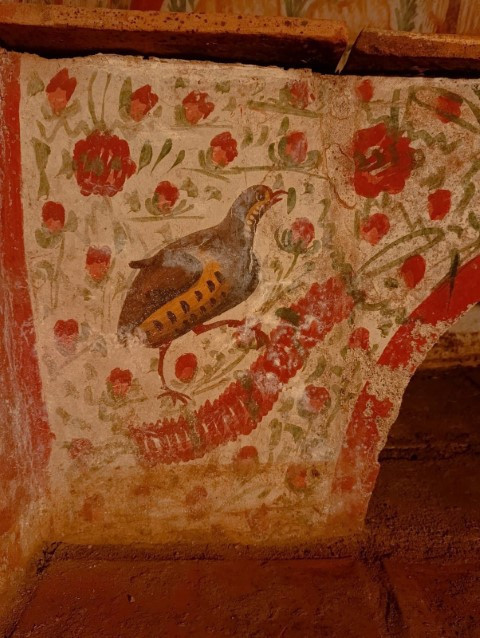 Papa ziyarete gelip ayin yapmıştı | İznikte önemli keşif: Nadir görülüyor ve Anadoluda tek olabilir