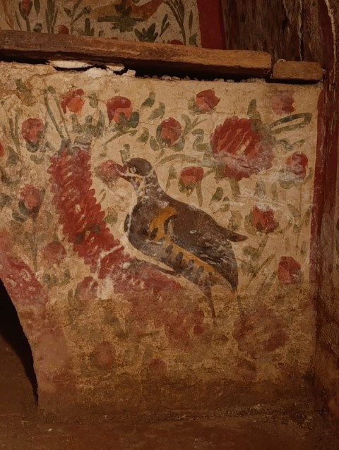 Papa ziyarete gelip ayin yapmıştı | İznikte önemli keşif: Nadir görülüyor ve Anadoluda tek olabilir