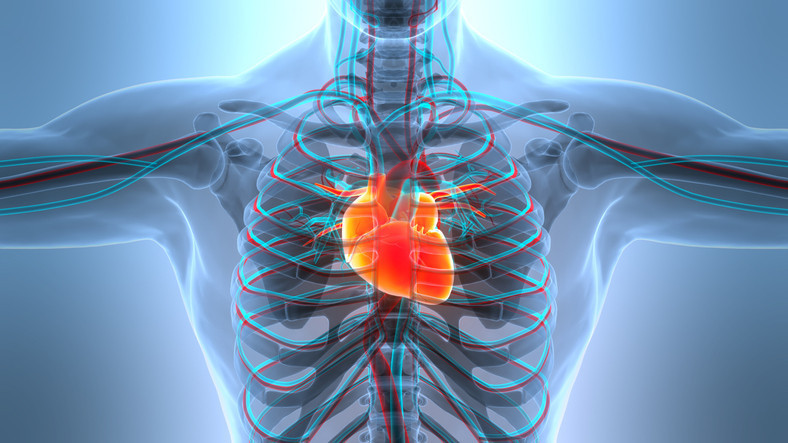 Bir yılda yaklaşık 20 milyon kişi hayatını kaybetti! 45 yaş altındaki kişilerde hızla artıyor