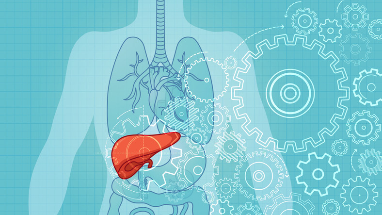 Ultra işlenmiş gıdalar bağırsak sağlığını nasıl etkiliyor Gerçekten kanserle bir ilişkisi var mı