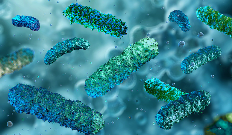 Ultra işlenmiş gıdalar bağırsak sağlığını nasıl etkiliyor Gerçekten kanserle bir ilişkisi var mı