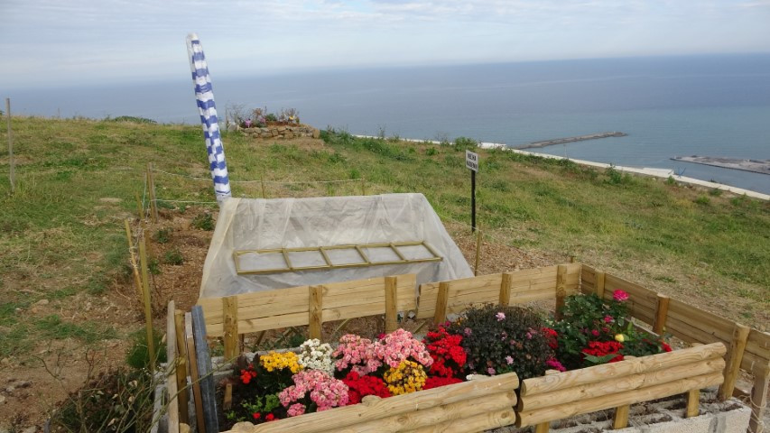  Doluluk oranı yüzde 95e ulaştı