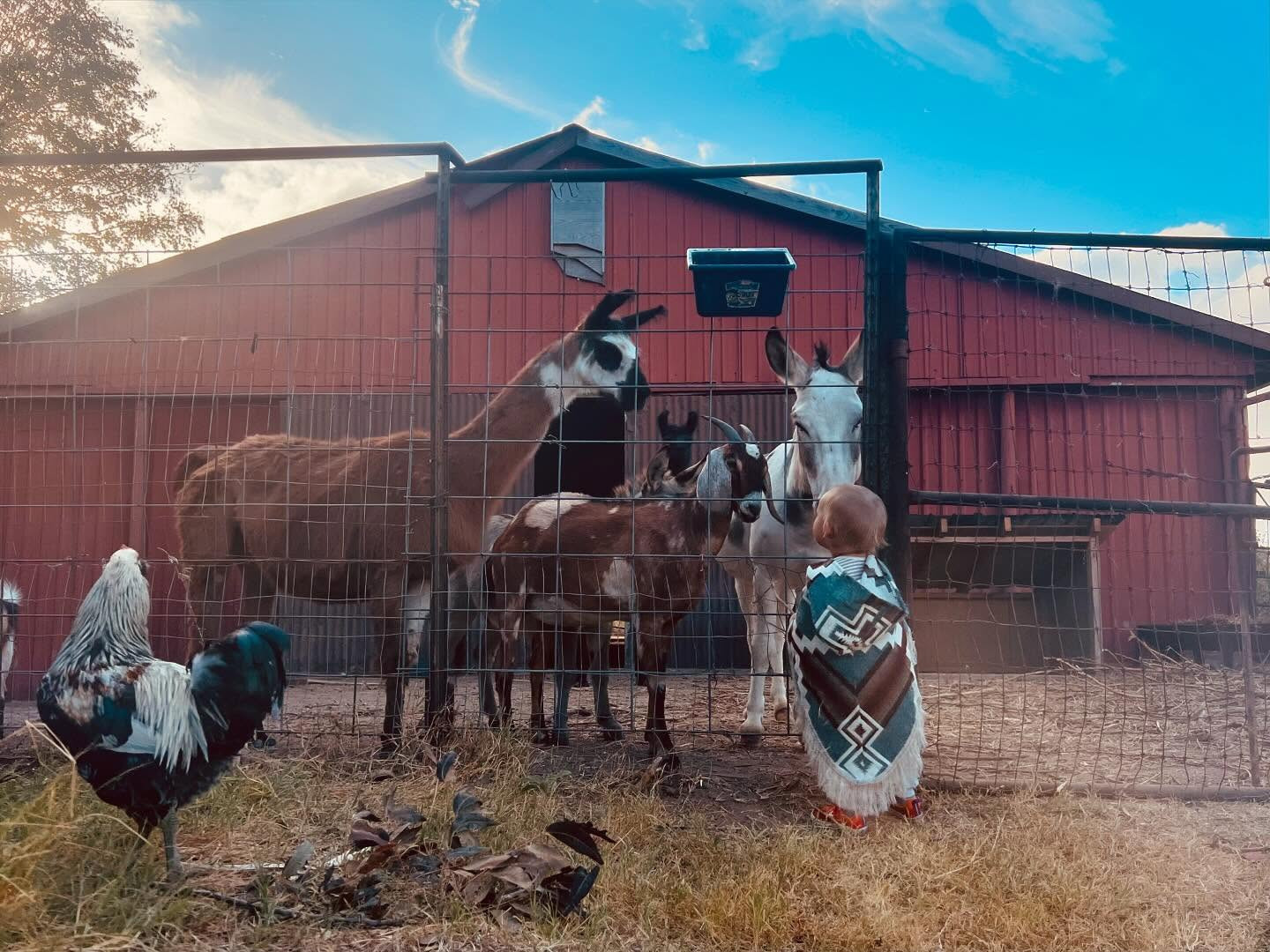 Şöhrete sırtını döndü, oyunculuğu bıraktı… Artık çiftliğinde sebze yetiştiriyor