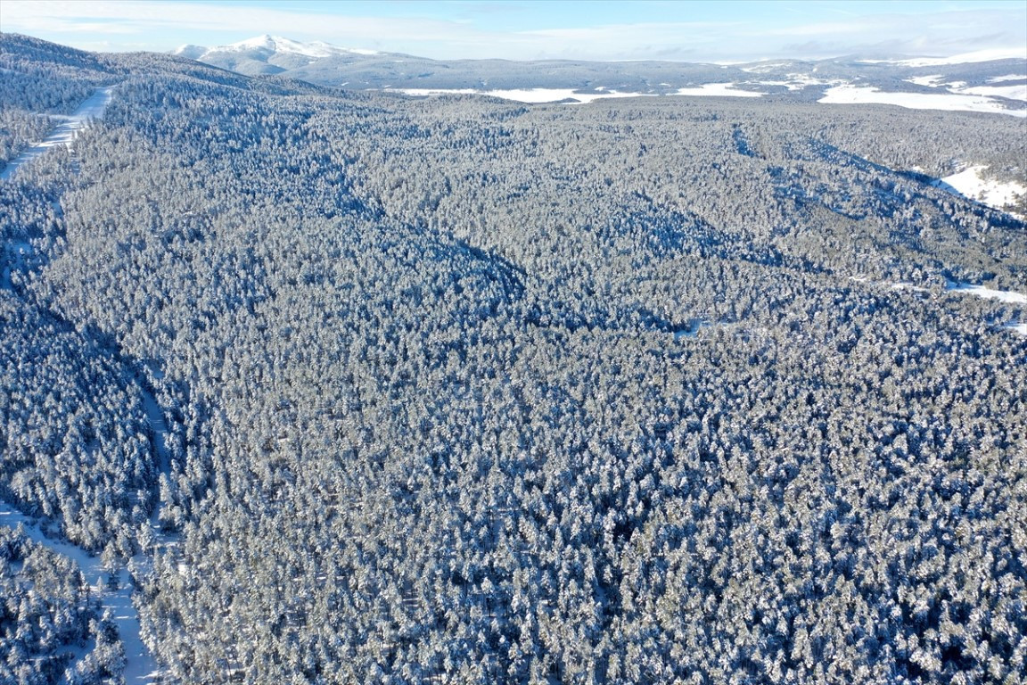  Sürücülerin bekleyişi sürüyor