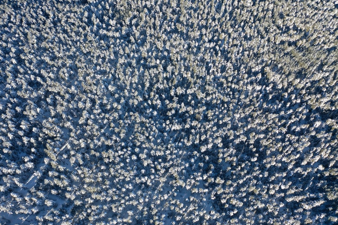  Sürücülerin bekleyişi sürüyor