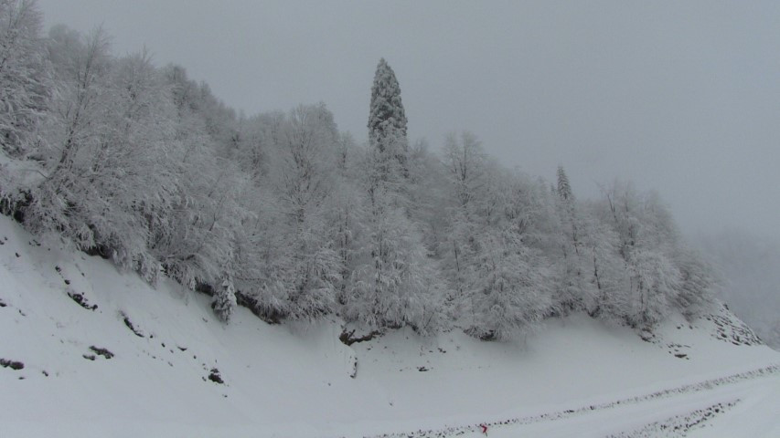 Kar kalınlığı 3 metreye ulaştı Yollar kapandı, sürücüler zor anlar yaşıyor Kar kalınlığı 3 metreye ulaştı Yollar kapandı, sürücüler zor anlar yaşıyor