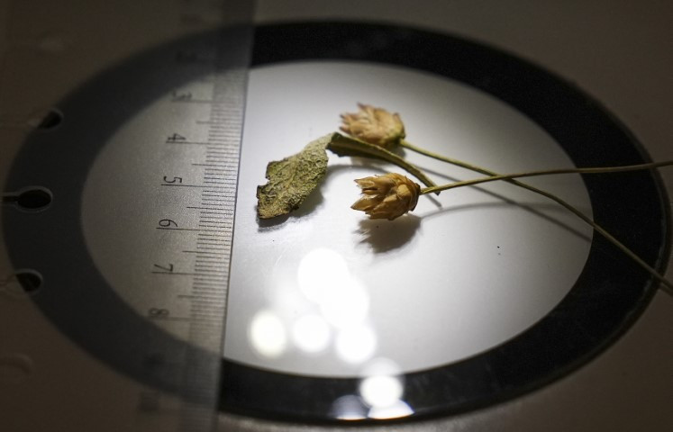 Emekli öğretmen doğa yürüyüşünde fark ederek keşfini sağladı | Dünyaca ünlü dergide yayımlandı Emekli öğretmen doğa yürüyüşünde fark ederek keşfini sağladı | Dünyaca ünlü dergide yayımlandı