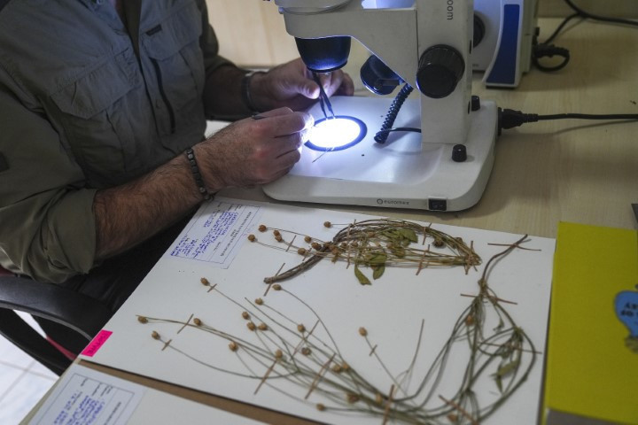 Emekli öğretmen doğa yürüyüşünde fark ederek keşfini sağladı | Dünyaca ünlü dergide yayımlandı Emekli öğretmen doğa yürüyüşünde fark ederek keşfini sağladı | Dünyaca ünlü dergide yayımlandı
