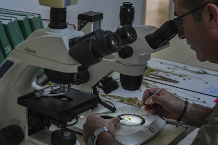 Emekli öğretmen doğa yürüyüşünde fark ederek keşfini sağladı | Dünyaca ünlü dergide yayımlandı Emekli öğretmen doğa yürüyüşünde fark ederek keşfini sağladı | Dünyaca ünlü dergide yayımlandı