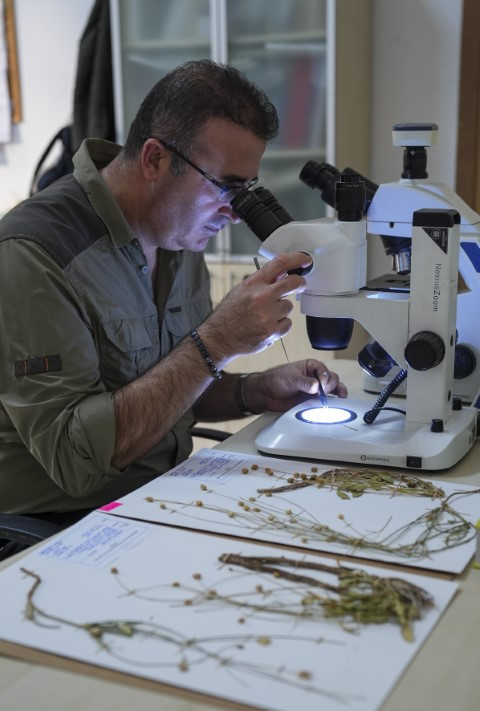 Emekli öğretmen doğa yürüyüşünde fark ederek keşfini sağladı | Dünyaca ünlü dergide yayımlandı Emekli öğretmen doğa yürüyüşünde fark ederek keşfini sağladı | Dünyaca ünlü dergide yayımlandı