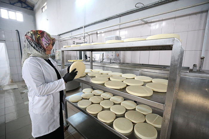  Gecemiz gündüzümüz yok, tüm zamanımızı buna ayırıyoruz