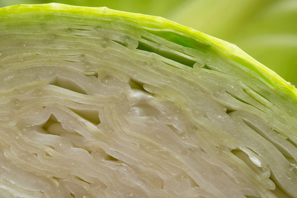 Kötü şöhreti geride kaldı Proteinin yerini alacak