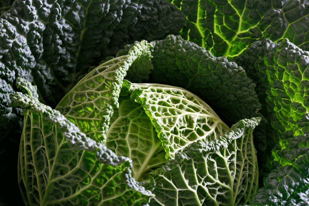 Kötü şöhreti geride kaldı Proteinin yerini alacak