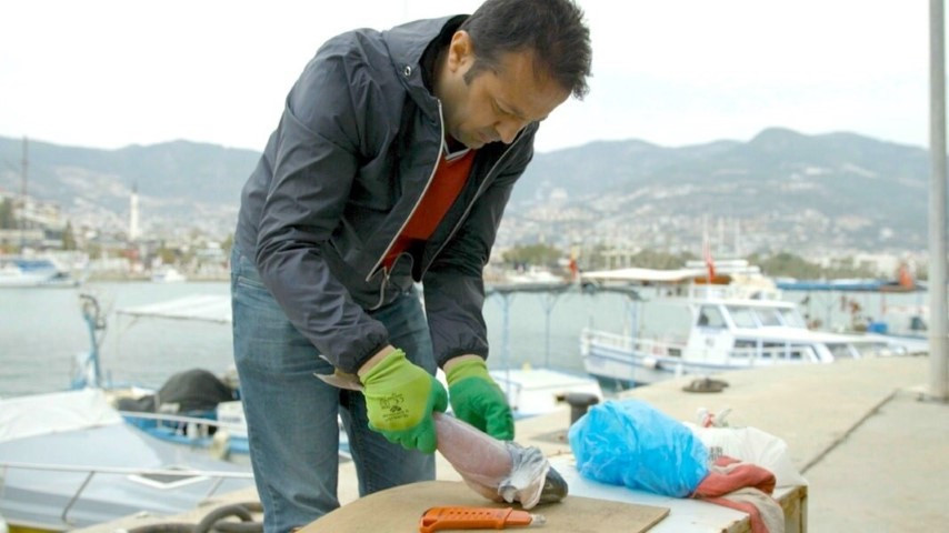 Balon balığından yapılan ürünler mahkemelik oldu Kanadada görevli kadın projemi çaldı