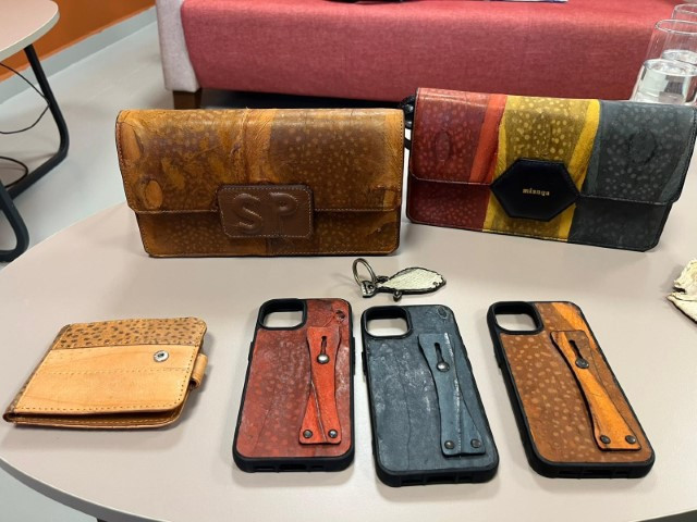 Balon balığından yapılan ürünler mahkemelik oldu Kanadada görevli kadın projemi çaldı