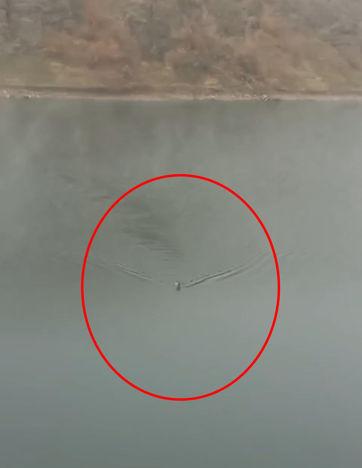  Karşı kıyıya yüzerek geçti, gözden kayboldu