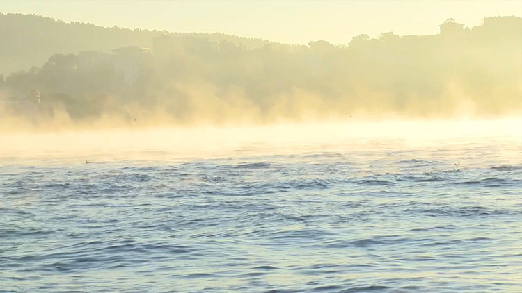 İstanbul Boğazı'nda alışılmadık manzara: O anlar böyle kaydedildi