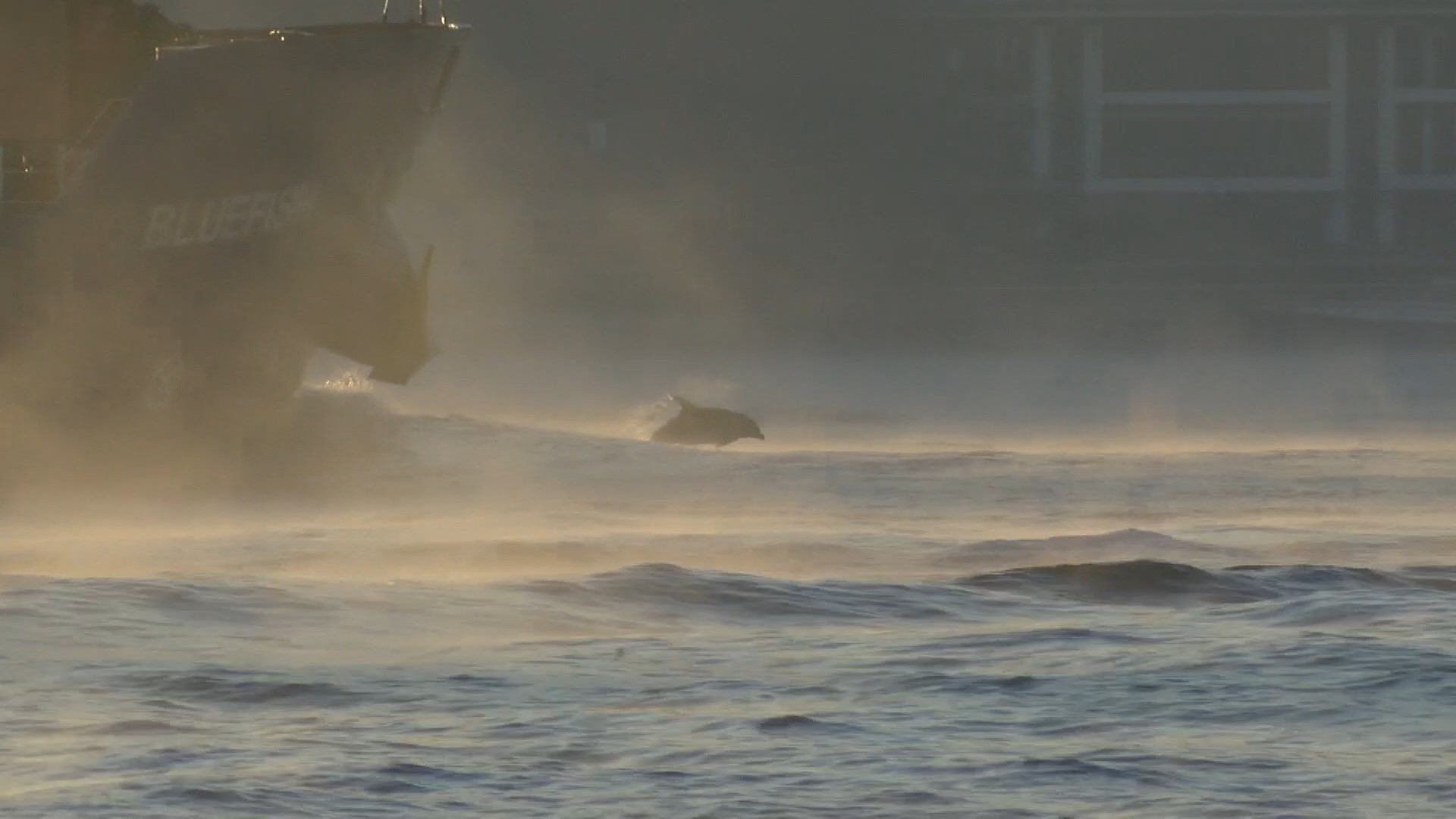 O anlar böyle kaydedildi O anlar böyle kaydedildi