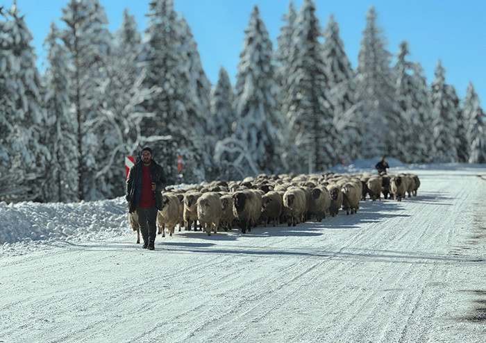 Yoğun kar yağışı etkili oldu: Ekiplerin çalışması başladı | Hava sıcaklığı eksi 16 dereceyi gördü: Kar kalınlığı 1 metreyi aştı