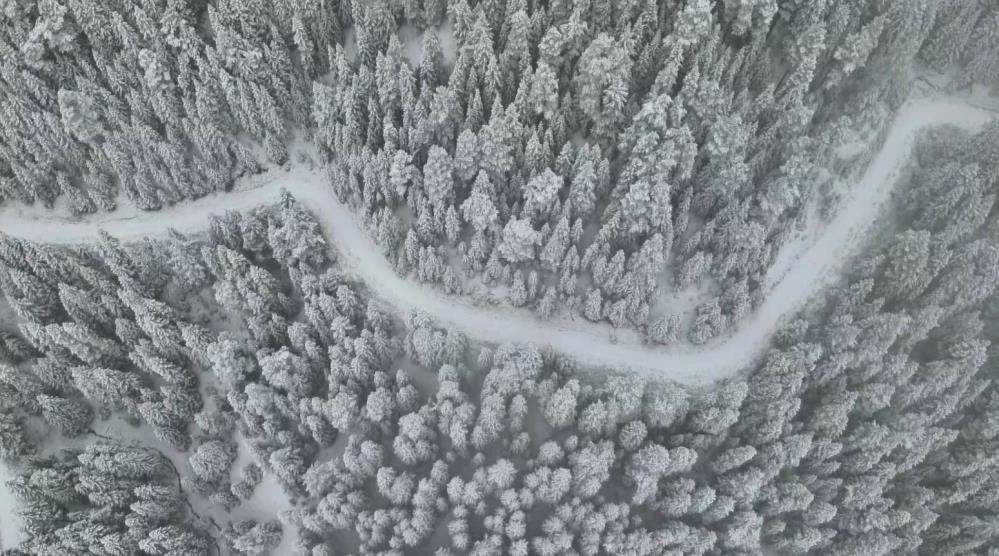 Yoğun kar yağışı etkili oldu: Ekiplerin çalışması başladı | Hava sıcaklığı eksi 16 dereceyi gördü: Kar kalınlığı 1 metreyi aştı