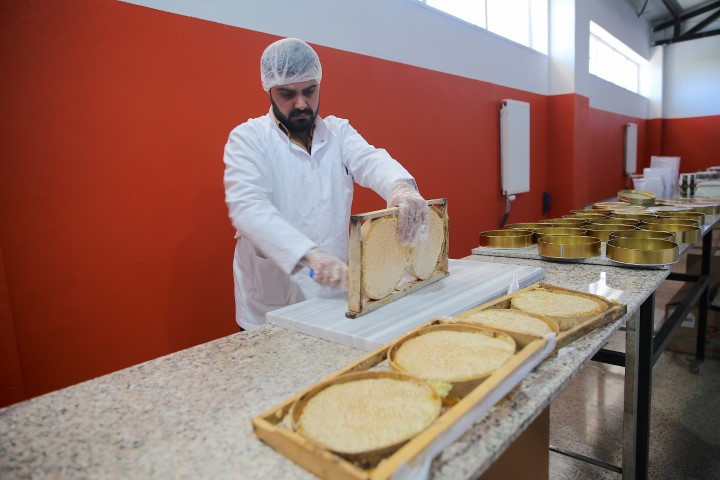  Birinci kalitede üretti, Dubaiye 16 ,5 tonluk ihracat yaptı