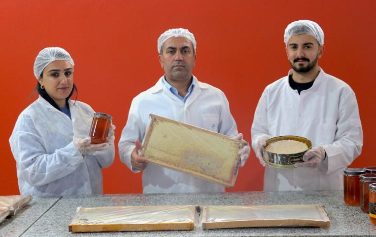  Birinci kalitede üretti, Dubaiye 16 ,5 tonluk ihracat yaptı