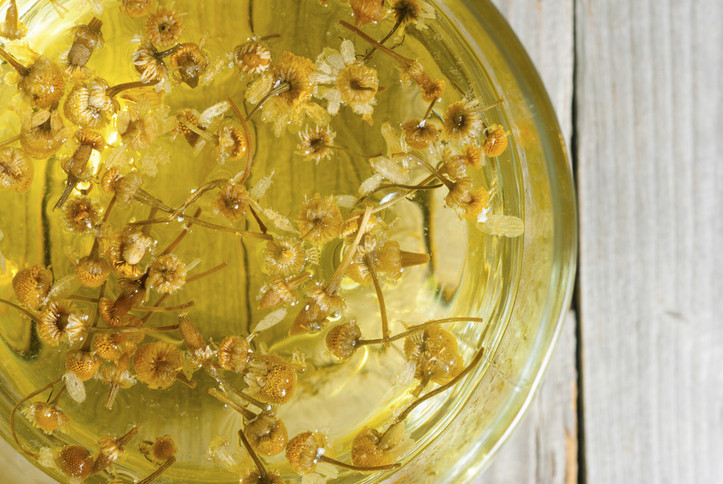 Zencefil bulantıya iyi geliyor