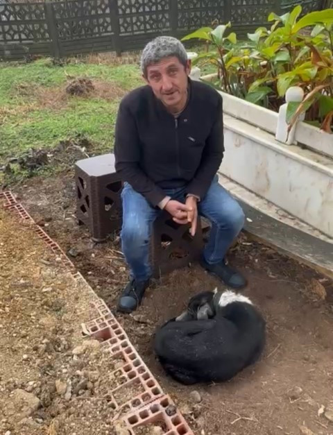 Köpeğin vefasını görenler hüzne boğuldu Ağlıyor, titriyordu, İnsanlar örnek almalı Köpeğin vefasını görenler hüzne boğuldu Ağlıyor, titriyordu, İnsanlar örnek almalı