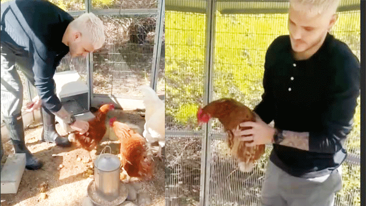 Mauro Icardi’ye tavuk büyüsü