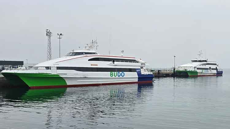 BUDO'nun 1 Ocak'taki 2 seferi iptal edildi