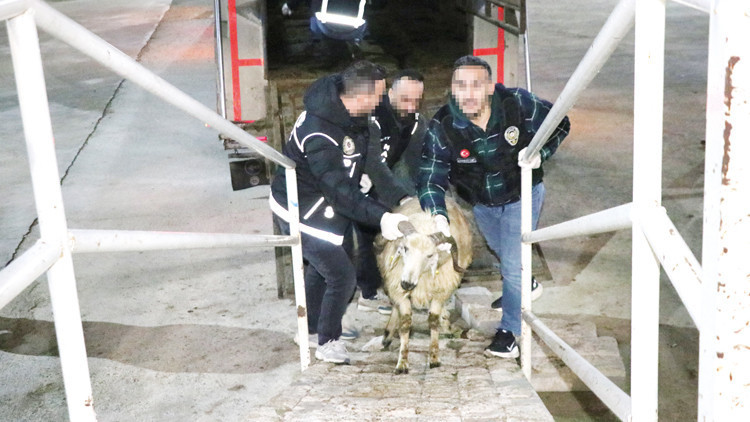 Bu da zehir tacirlerinin ‘Ar-Ge’si