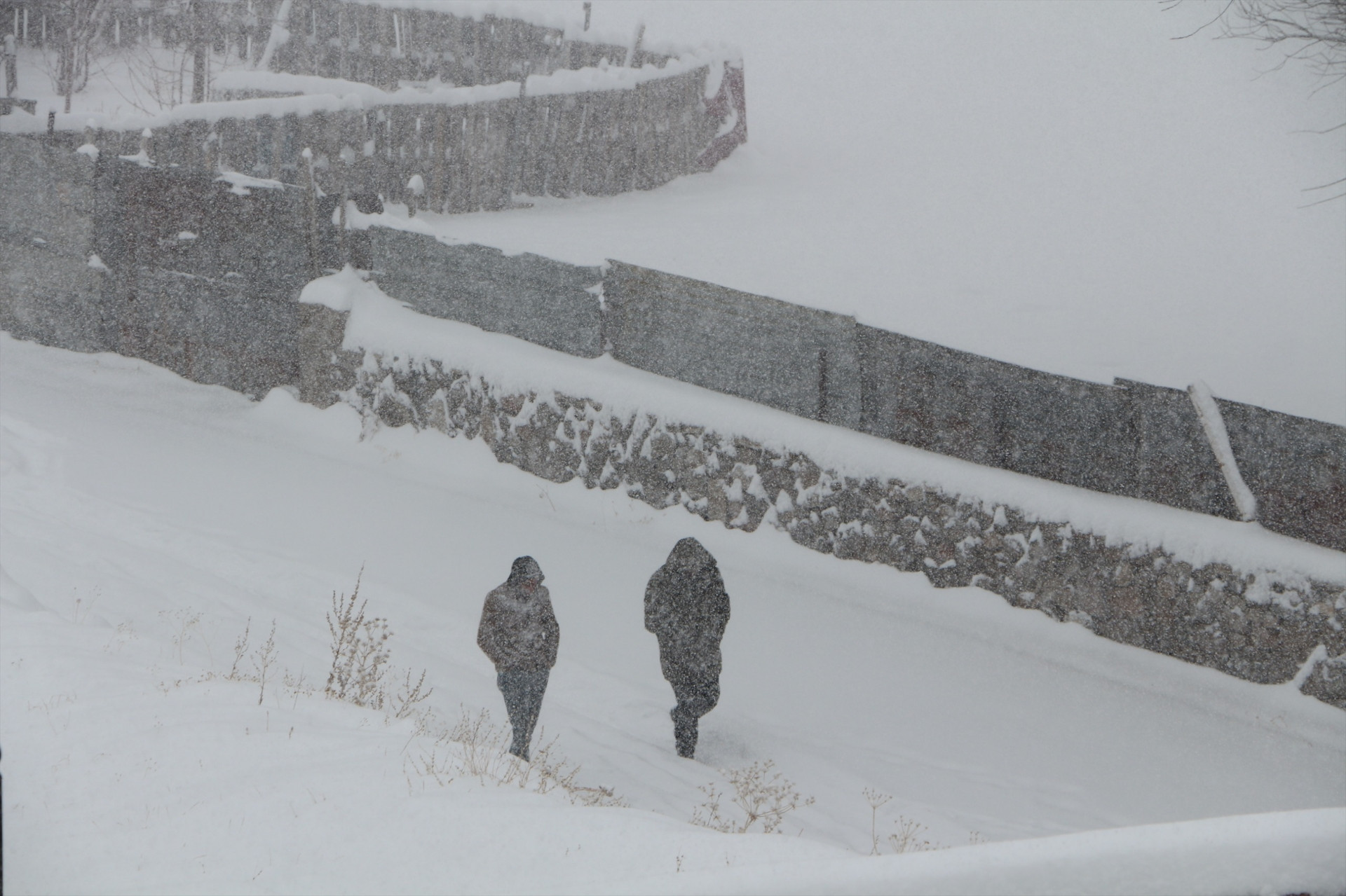 Kar yağışı başladı Çok sayıda il beyaza büründü