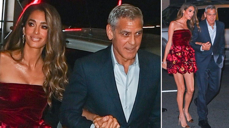 'Hollywood'da çocuk büyütülmez' deyip Fransız vatandaşı oldular