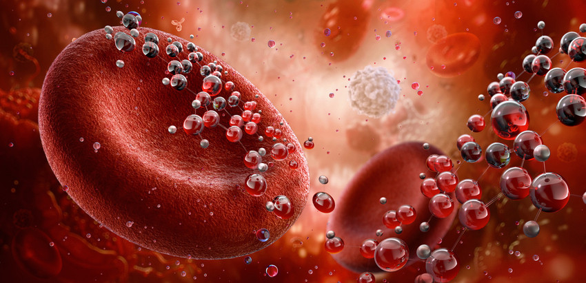  En avantajlı grup hangisi Bilim insanları uyarıyor