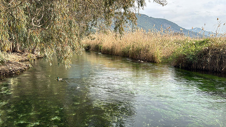 NASA Vay be diye paylaşmıştı Dünyanın en iyileri arasına girdi