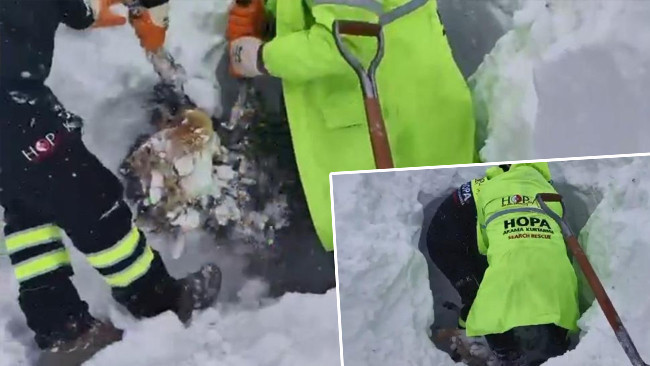 Artvin'de çığ felaketi: Arama kurtarma çalışmaları yeniden başladı