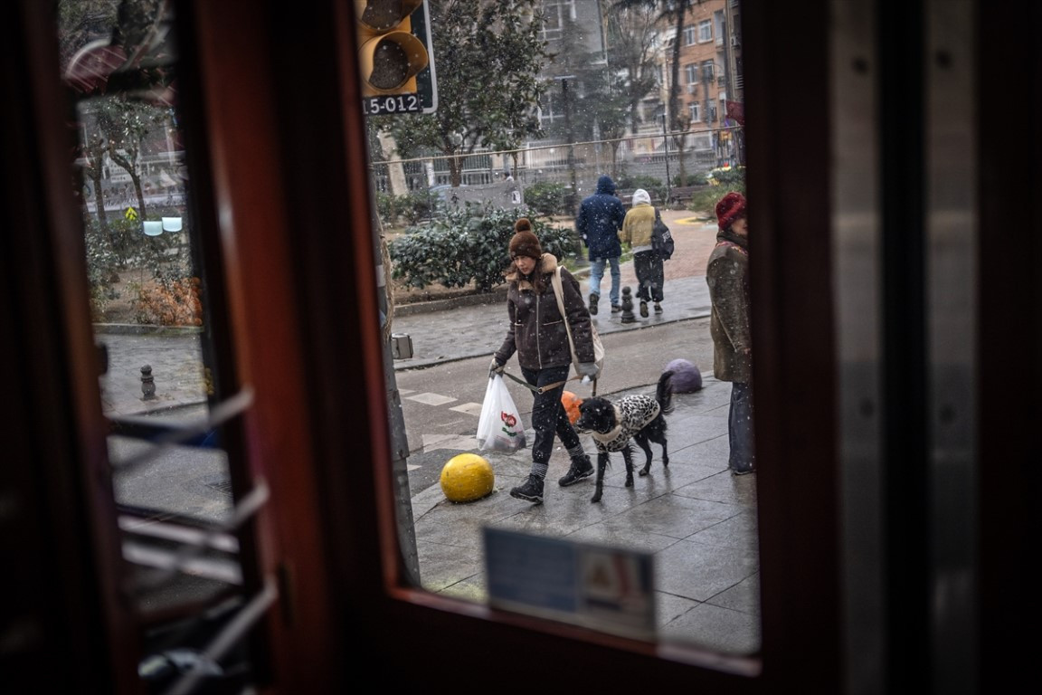  Lapa lapa yağdı, her yer beyaza büründü